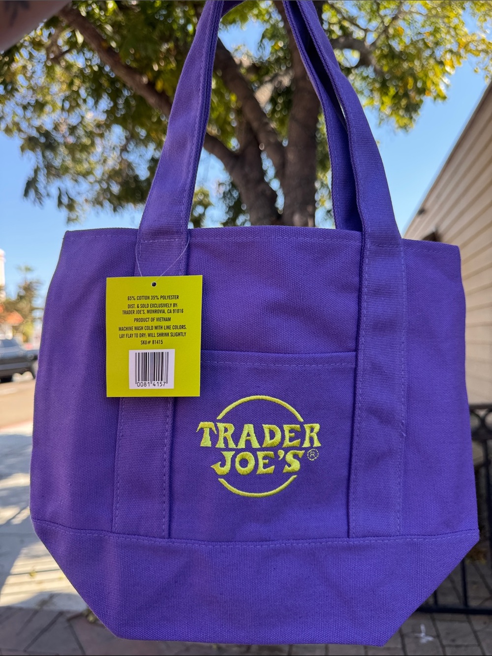 Trader Joe's Halloween Purple Canvas Mini Tote